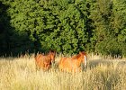 Schnappschüsse